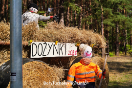 Zdjęcie 61