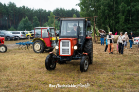 Zdjęcie 45