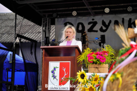 Zdjęcie 179