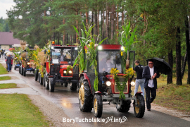 Zdjęcie 11