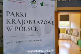 Zdjęcie 1