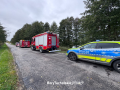 Zdjęcie 1